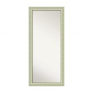 Amanti Art 3316318, Floor/Leaner Mirror, Silver
