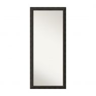 Amanti Art 3316165 Floor/Leaner Mirror 28 x 64 Bronze