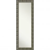 Amanti Art On The Full Length Outer Size 18 x 52 Door/Wall Mirror, Barcelona Champagne: 18x52