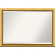 Amanti Art Framed Mirrors for Wall | Townhouse Gold Mirror for Wall | Solid Wood Wall Mirrors | Large Wall Mirror 39.50 x 27.50 in.