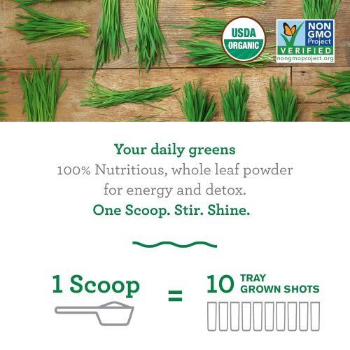  Organic Wheatgrass Powder, by Amazing Grass Super Greens Wheat Grass, 100 Servings, Detox,...