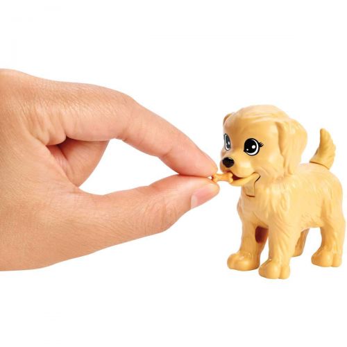 바비 Amazon Barbie Doggy Daycare Doll & Pets, Blonde