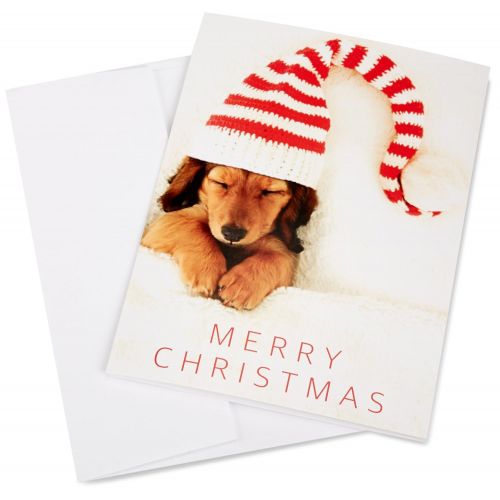  Amazon.com Gift Card in a Greeting Card (Various Designs)