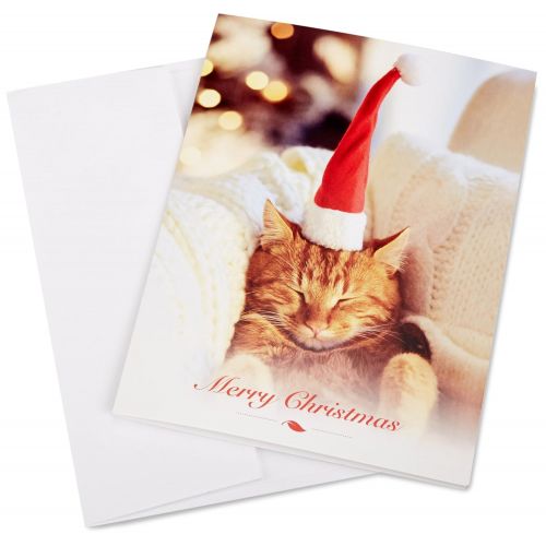  Amazon.com Gift Card in a Greeting Card (Various Designs)