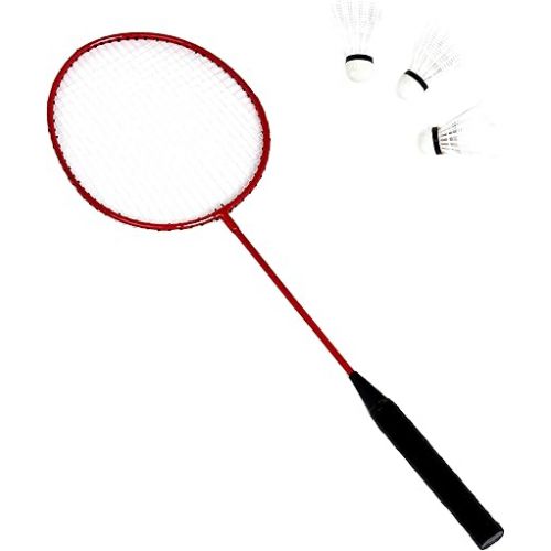  Amazon Basics Outdoor Volleyball and Badminton Combo Set with Net