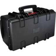 Amazon Basics Large Hard Rolling Camera Case - 22 x 14 x 9 Inches, Black