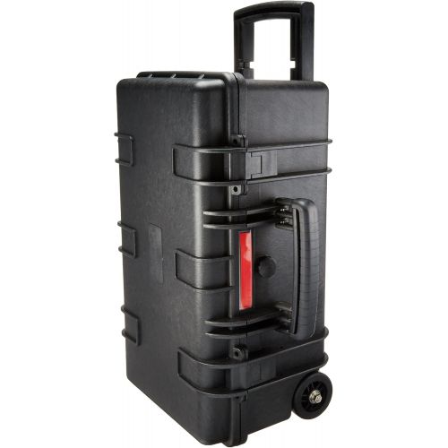  Amazon Basics Large Hard Rolling Camera Case - 22 x 14 x 9 Inches, Black