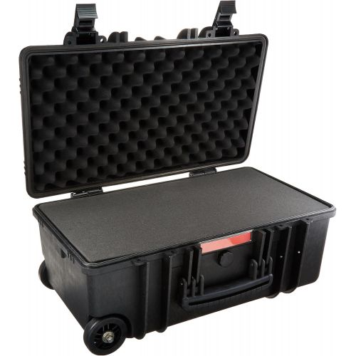  Amazon Basics Large Hard Rolling Camera Case - 22 x 14 x 9 Inches, Black