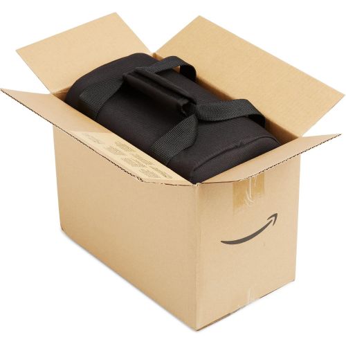  Amazon Basics Large DSLR Gadget Bag (Gray interior)