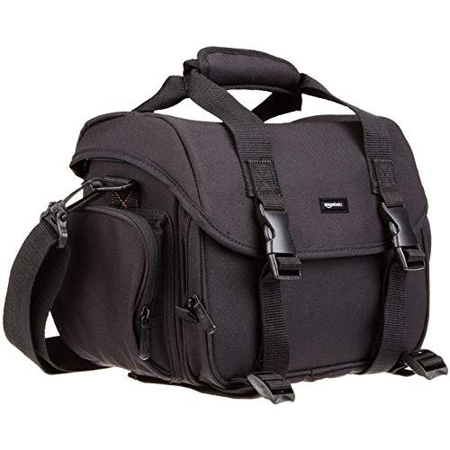  Amazon Basics Large DSLR Gadget Bag (Gray interior)