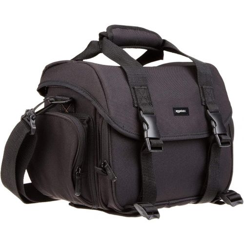  Amazon Basics Large DSLR Gadget Bag (Gray interior)