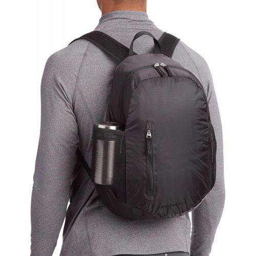  AmazonBasics Ultralight Portable Packable Day Pack