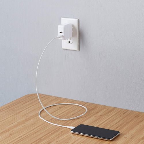  AmazonBasics Dual-Port 24W USB Wall Charger for Phone, iPad, and Tablet - White
