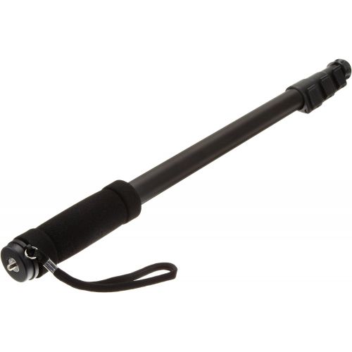  Amazon Basics 67-Inch Monopod