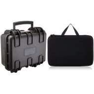 Amazon Basics Small Hard Camera Carrying Case - 12 x 11 x 6 Inches, Black & Large Carrying Case for GoPro and Accessories - 13 x 9 x 2.5 Inches, Black