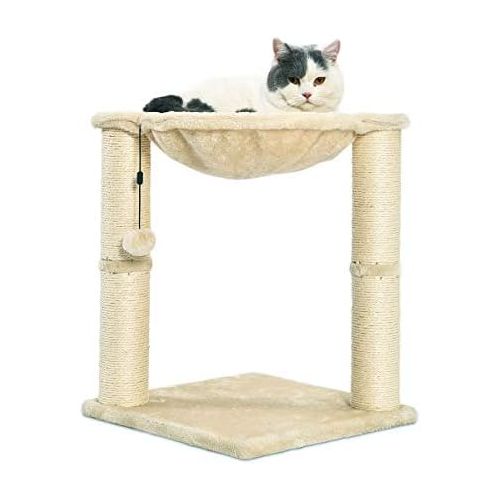  AmazonBasics Cat Scratching Post and Hammock