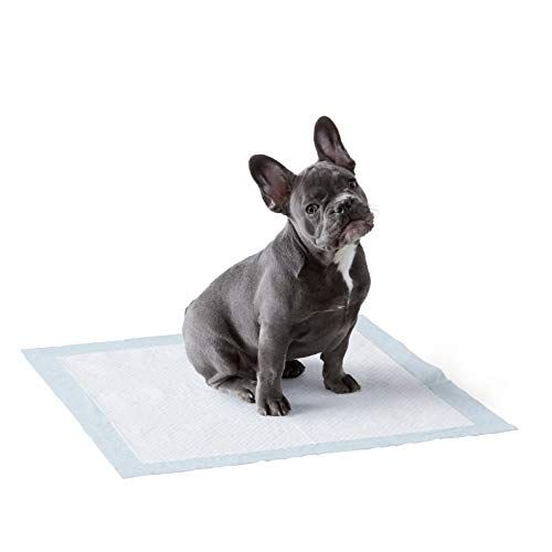  AmazonBasics Dog and Puppy Pee, Potty Training Pads, Regular Absorbancy