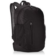 AmazonBasics Ultralight Portable Packable Day Pack