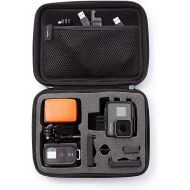 [아마존베스트]AmazonBasics Small Carrying Case for GoPro And Accessories - 9 x 7 x 2.5 Inches, Black