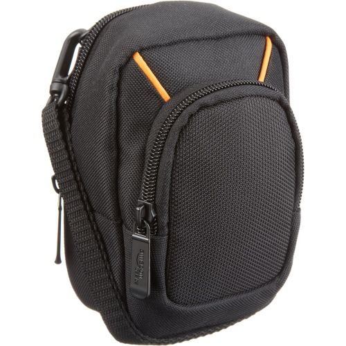  [아마존베스트]AmazonBasics Large Point and Shoot Camera Case - 6 x 4 x 2 Inches, Black