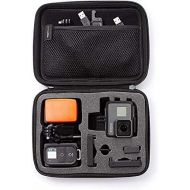 [아마존베스트]AmazonBasics carrying case for GoPro action cameras, size XS