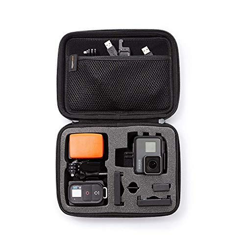  Amazon Basics Small Carrying Case for GoPro And Accessories - 9 x 7 x 2.5 Inches, Black