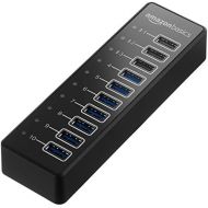 AmazonBasics USB-A 3.1 10-Port Hub with Power Adapter - 65W (20V3.25A), Black