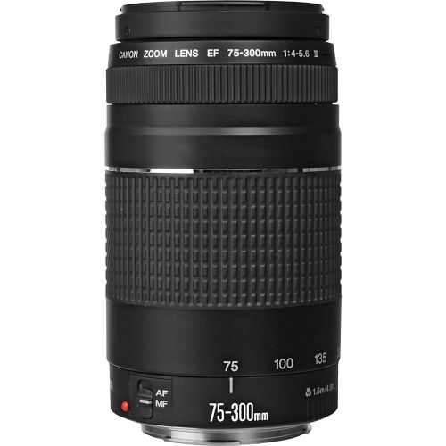  Amazon Renewed Canon EF 75-300mm f/4-5.6 III Telephoto Zoom Lens for Canon SLR Cameras, 6473A003 (Renewed)