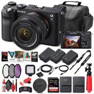 Amazon Renewed Sony Alpha a7C Mirrorless Digital Camera with 28 60mm Lens (Black) (ILCE7CL/B) + 64GB Memory Card + 2x NP FZ 100 Battery + Corel Photo Software + Case + External Charger + Card Rea
