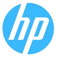 Amazon Renewed HP EG0300FARTT 300GB 10K 2.5 SAS DP 6G HDD With Tray (Certified Refurbished)