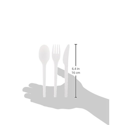  AmazonBasics Compostable Cutlery Set, Bulk Packaged, 480-Count