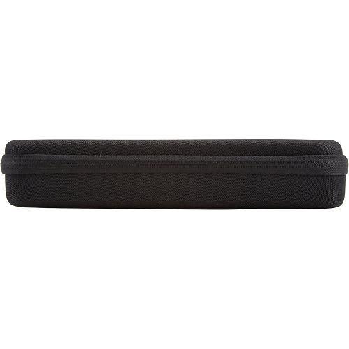  [아마존베스트]AmazonBasics Large Carrying Case for GoPro And Accessories - 13 x 9 x 2.5 Inches, Black