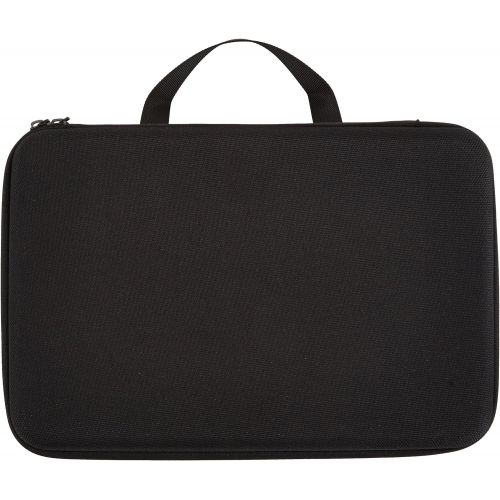  [아마존베스트]AmazonBasics Large Carrying Case for GoPro And Accessories - 13 x 9 x 2.5 Inches, Black