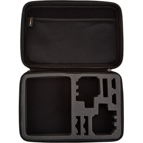  [아마존베스트]AmazonBasics Large Carrying Case for GoPro And Accessories - 13 x 9 x 2.5 Inches, Black