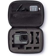 [아마존베스트]AmazonBasics Extra Small GoPro And Accessories Case - 6.5 x 5 x 2.5 Inches, Black