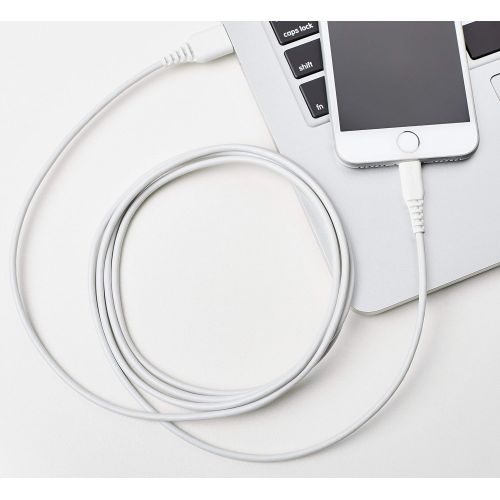  [아마존베스트]AmazonBasics Lightning to USB A Cable, MFi Certified iPhone Charger, White, 6 Foot, 2 Pack