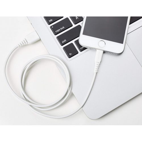  [아마존베스트]AmazonBasics Lightning to USB A Cable, MFi Certified iPhone Charger, White, 3 Foot, 3 Foot, 2 Pack