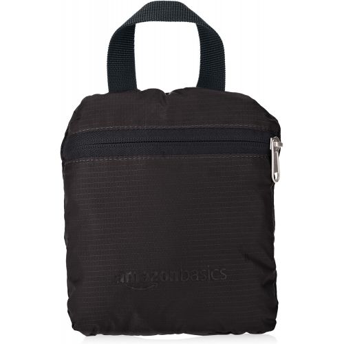  [아마존베스트]AmazonBasics Ultralight Packable Day Pack