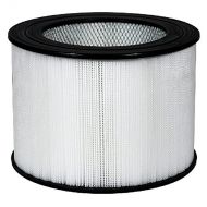 AmazonBasics Nispira Replacement True HEPA Air Filter Compatible Honeywell 24000, 1 Filter