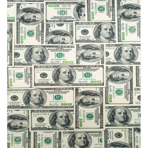  Ambesonne Money King Size Duvet Cover Set, Dollar Bills of United States Federal Reserve with the Portrait of Ben Franklin, Decorative 3 Piece Bedding Set with 2 Pillow Shams, Pale Green Gre