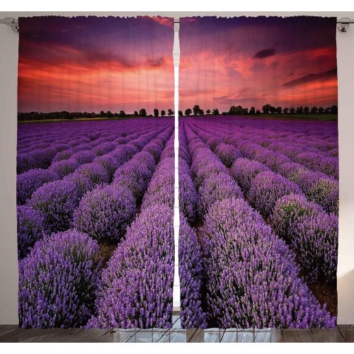  Ambesonne Dark Purple Curtains for Living Room, for Teens Bedroom Girls Room Decor with Nature Pictures Natural Two Panels Set 108 Width X 84 inches Long Aubergine Violet Curtains