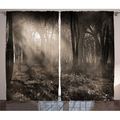  Ambesonne Gothic Decor Curtains 2 Panel Set, Photo of Dark Forest Scenery with Sunbeams and Fog Vintage Nostalgic Colors Gothic Fantasy Art, Living Room Bedroom Decor, 108 W X 84 L