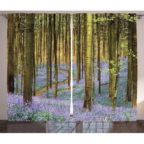  Ambesonne Gothic Decor Collection, Path on the Gothic Forest Trees Foggy Mysterious Nature Monochrome Art, Living Room Bedroom Curtain 2 Panels Set, 108 X 84 Inches, Cloudy Gray