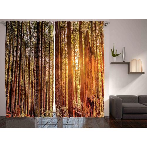  Ambesonne Wooden Curtains 2 Panel Set by, Brown Old Hardwood Floor Plank Grunge Lodge Garage Loft Natural Rural Graphic Artsy Print, Living Room Bedroom Decor, 108 W X 90 L Inches,