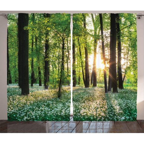  Ambesonne Grey Decor Collection, Birch Trees in Autumn Fall Branches Forest with Soft Light Colors Modern Graphic Print Decor, Living Room Bedroom Curtain 2 Panels Set, 108 X 90 In