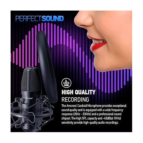  Amcrest Podcast Microphone for Streaming, Voice Recording, Gaming, Conferences, Meetings - Included Pop-Filter, Shock Mount, & Adjustable Heavy Metal Stand, USB AM430-PS