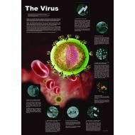 American Educational Products American Educational The Virus Poster