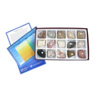 American Educational Products American Educational 15 Piece Sedimentary Rock Collection