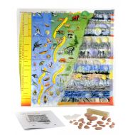 American Educational Products American Educational Vinyl Life On Earth A Fossil History 3D Model, 24-1/2 Length x 23-1/2 Width
