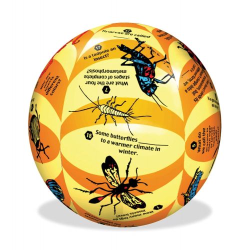  American Educational Products American Educational Vinyl Clever Catch Elementary Science Insects Ball, 24 Diameter